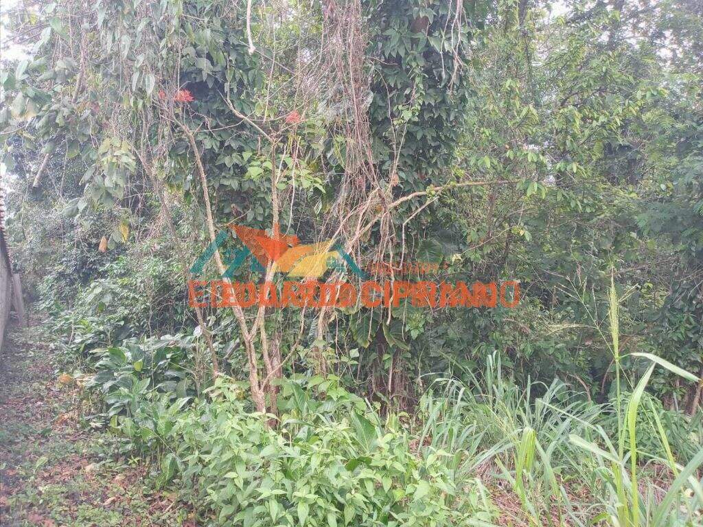 Terreno à venda no Massaguaçu: 