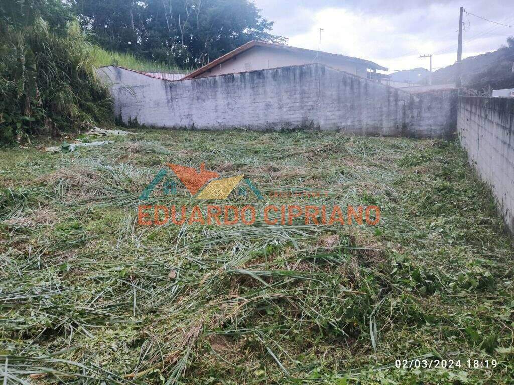 Terreno à venda no Massaguaçu: 