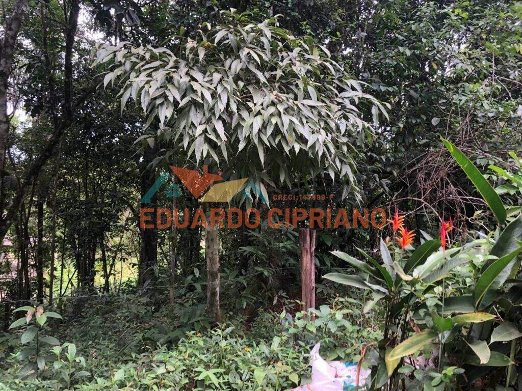 Terreno à venda no Massaguaçu: 