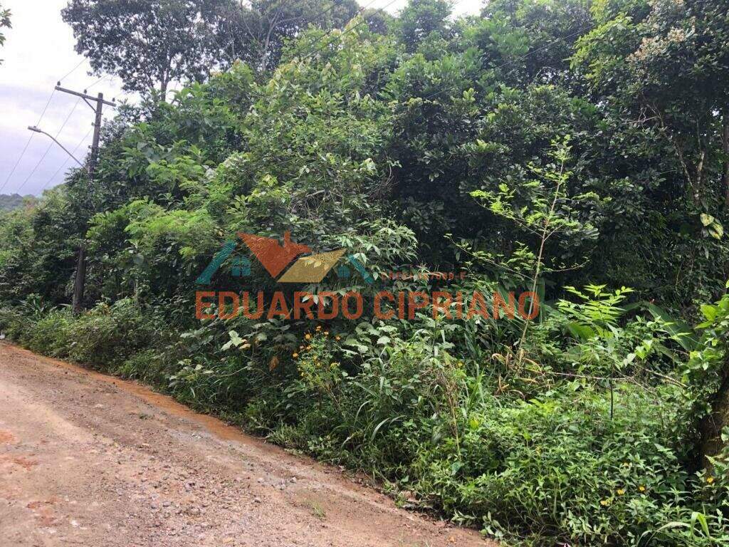 Terreno à venda no Massaguaçu: 