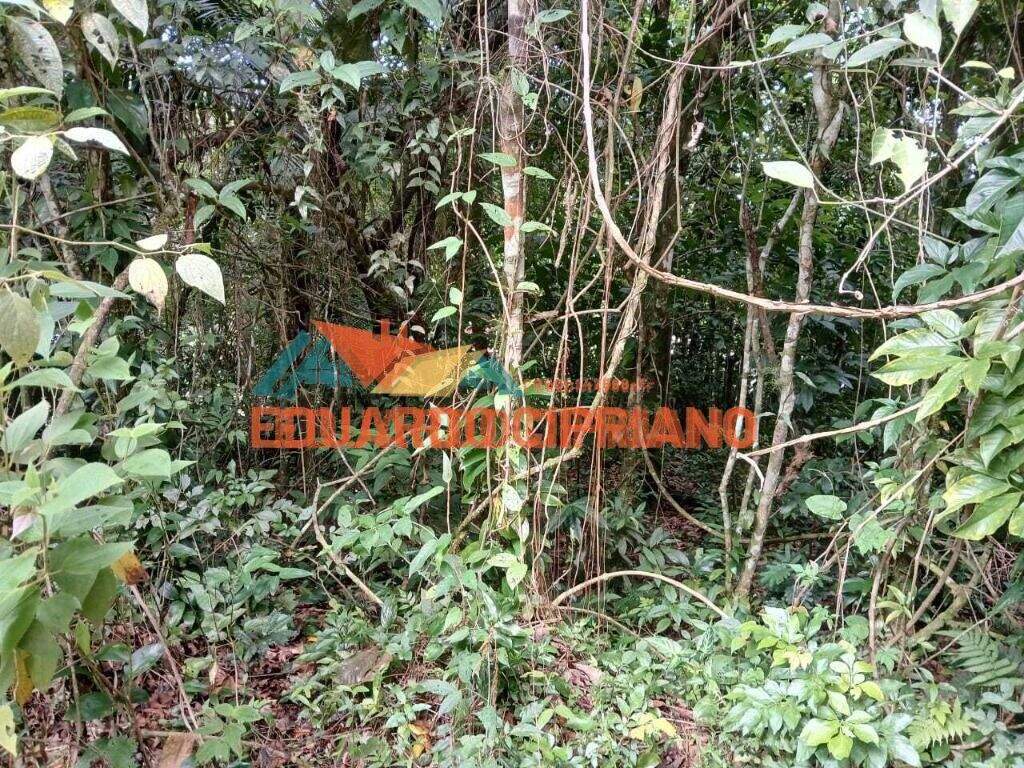 Terreno à venda no Massaguaçu: 