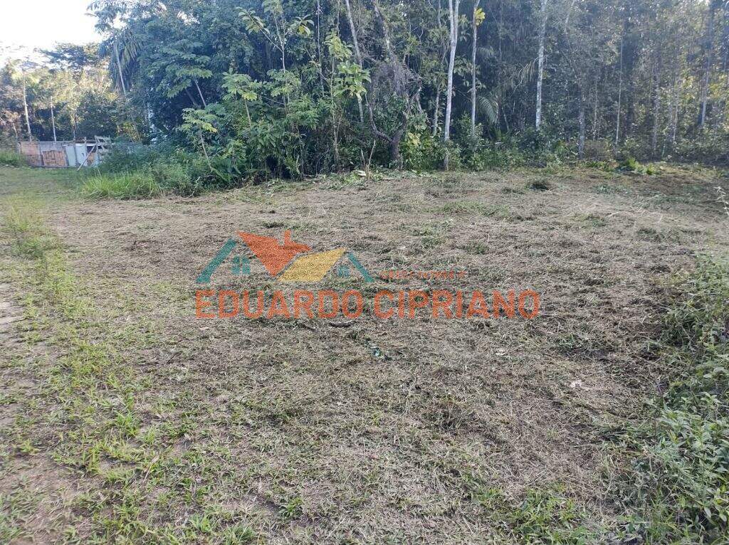 Terreno à venda no Massaguaçu: 