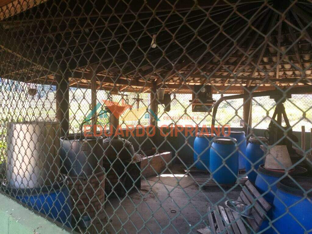 Sítio à venda no Capim da Angola: 