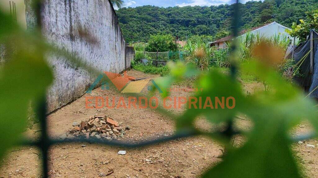 Terreno à venda no Massaguaçu: 