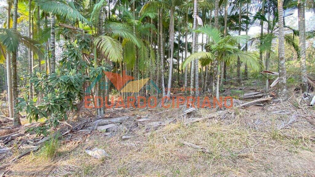 Terreno à venda no Espírito Santo: 