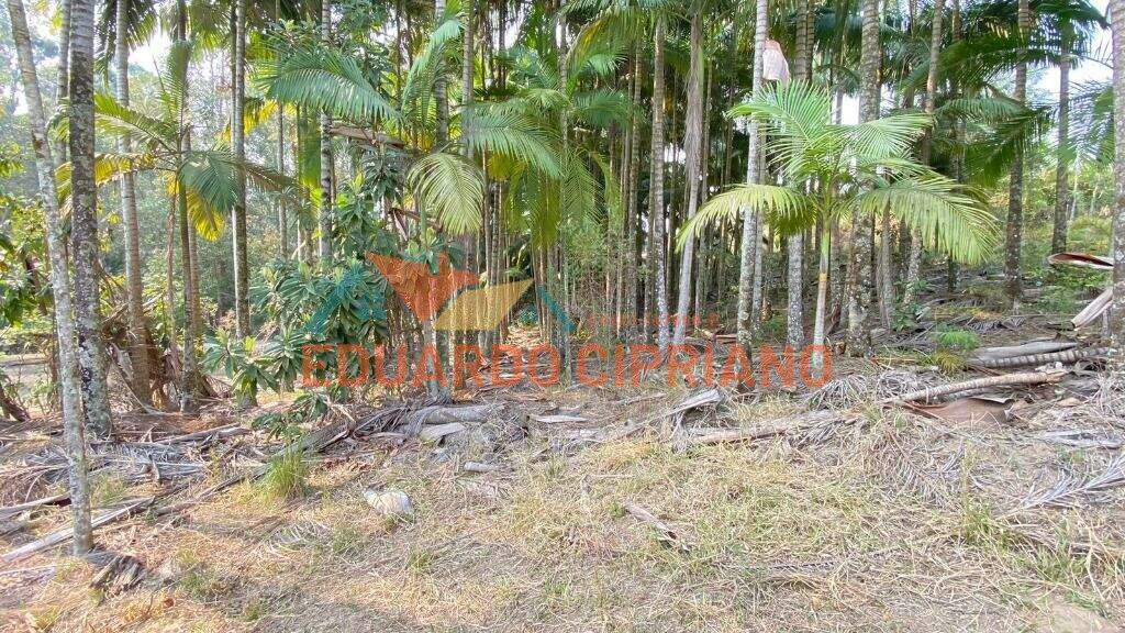 Terreno à venda no Espírito Santo: 