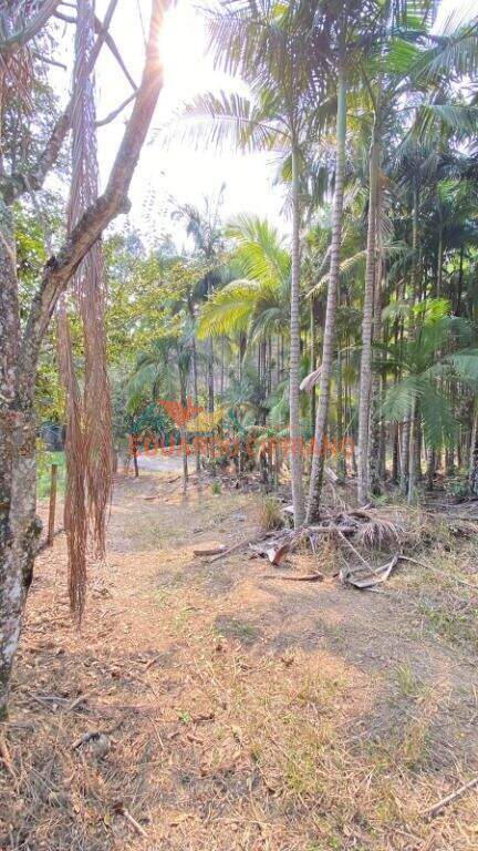 Terreno à venda no Espírito Santo: 