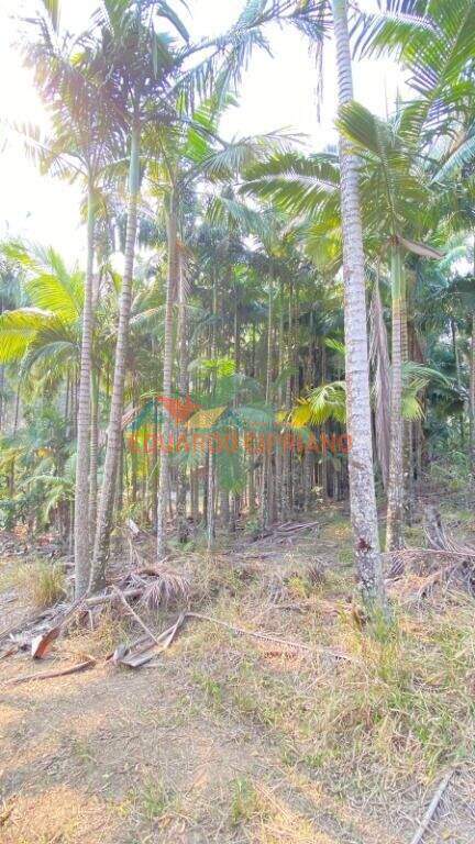 Terreno à venda no Espírito Santo: 