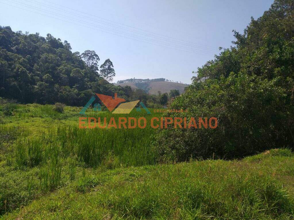 Terreno à venda no Zona Rural: 