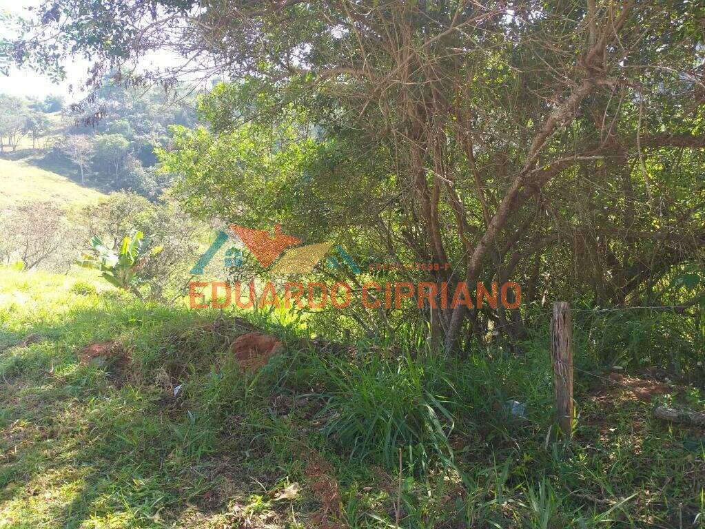 Terreno à venda no Zona Rural: 