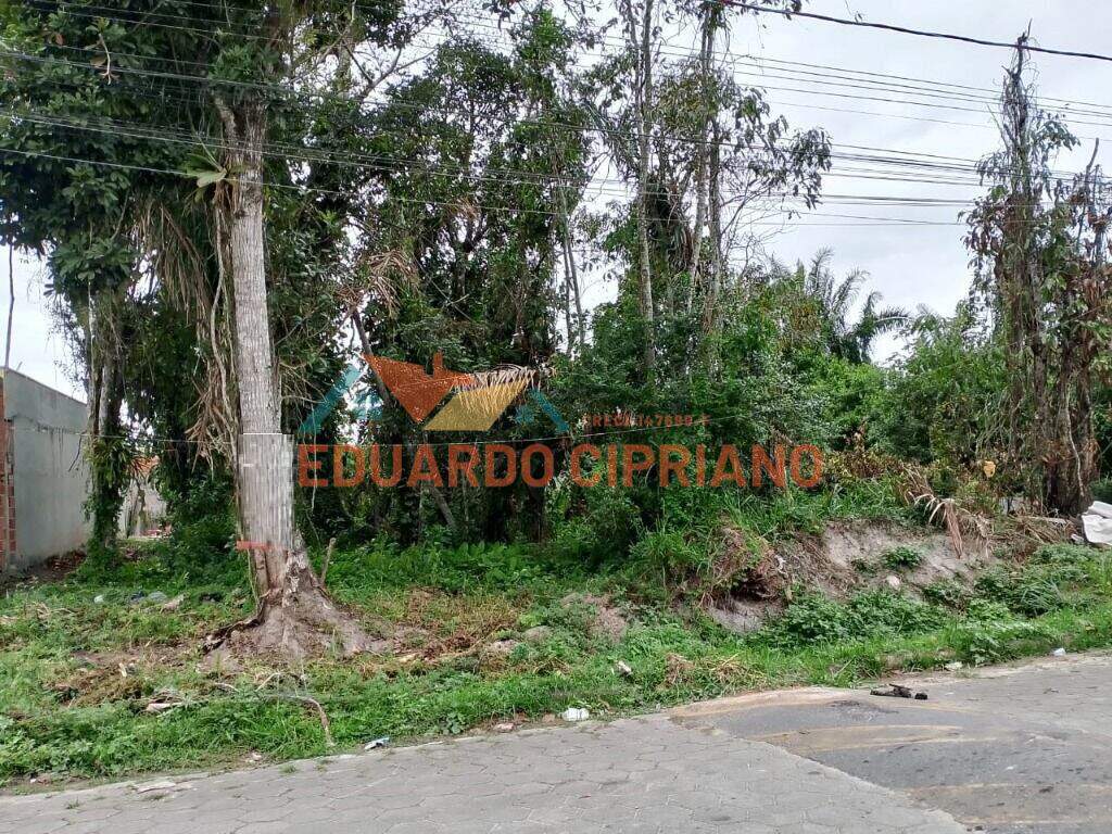 Terreno à venda no Jardim das Gaivotas: 