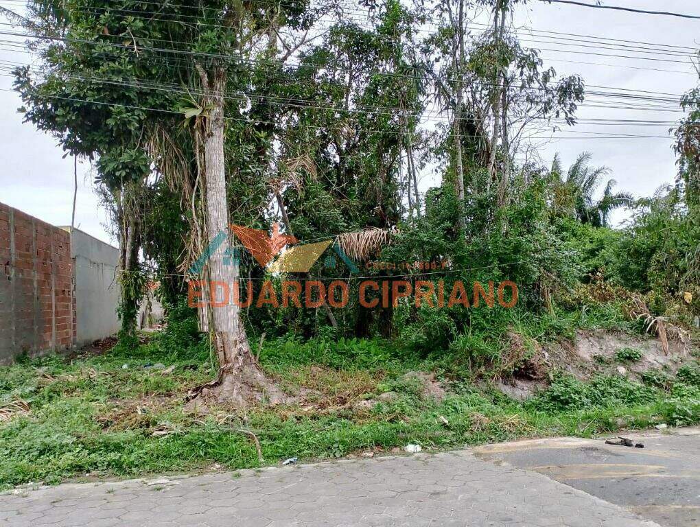 Terreno à venda no Jardim das Gaivotas: 