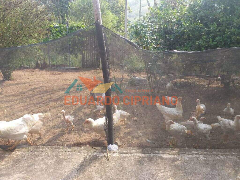 Chácara à venda no Zona Rural: 