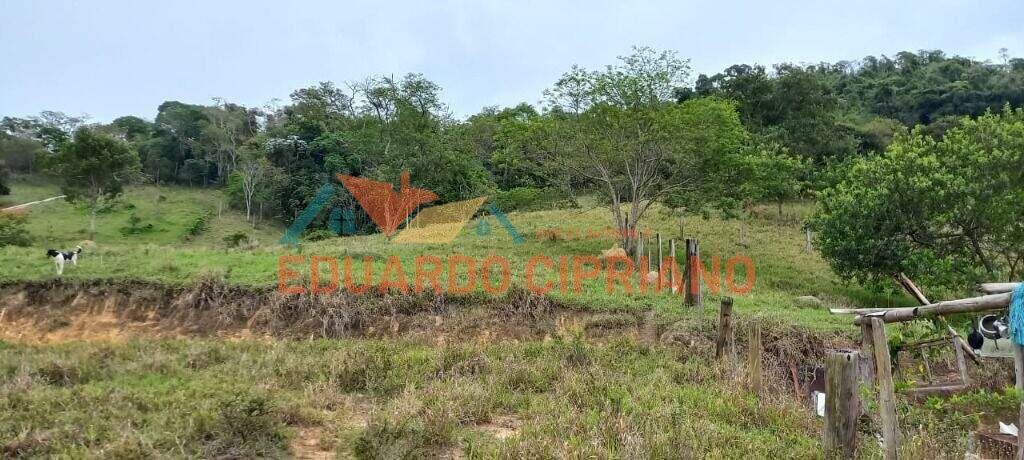 Área à venda no Capim da Angola: 