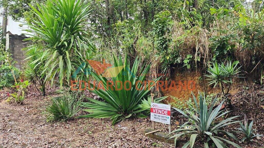 Terreno à venda no Massaguaçu: 