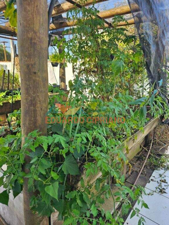 Edícula à venda no Massaguaçu: 