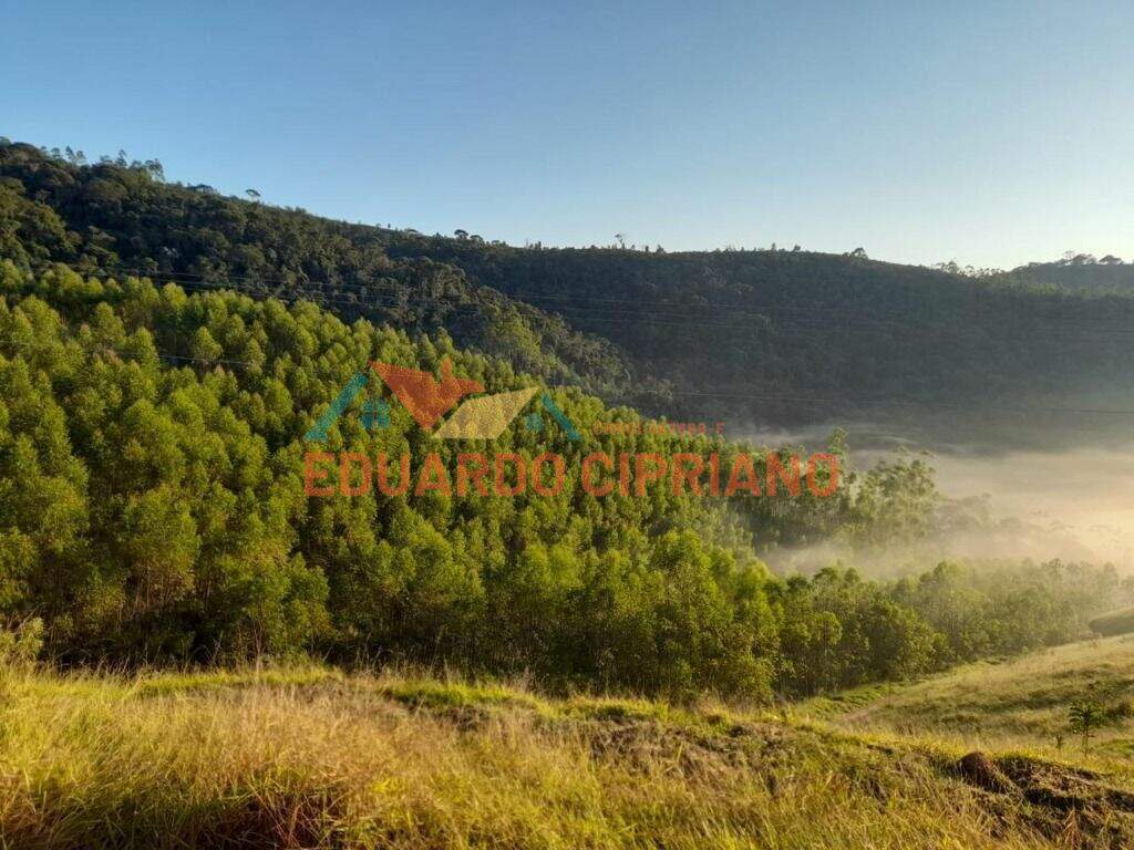 Terreno à venda no Zona Rural: 