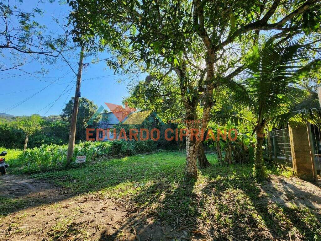 Terreno à venda no Massaguaçu: 