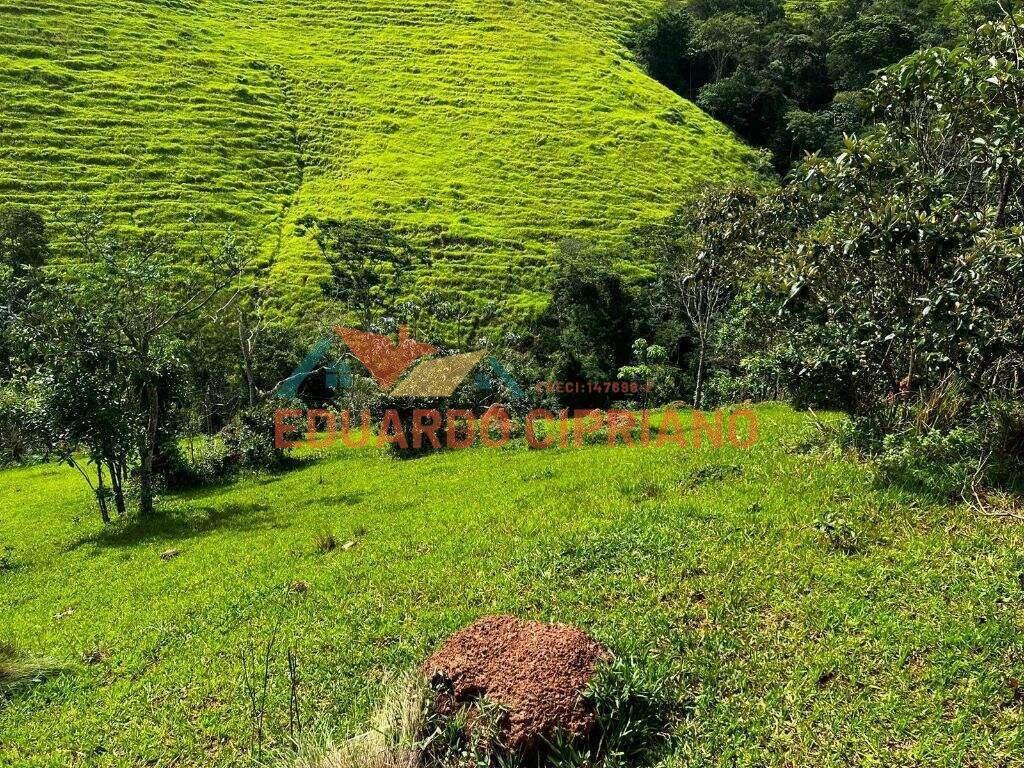 Chácara à venda no Tapanhão: 
