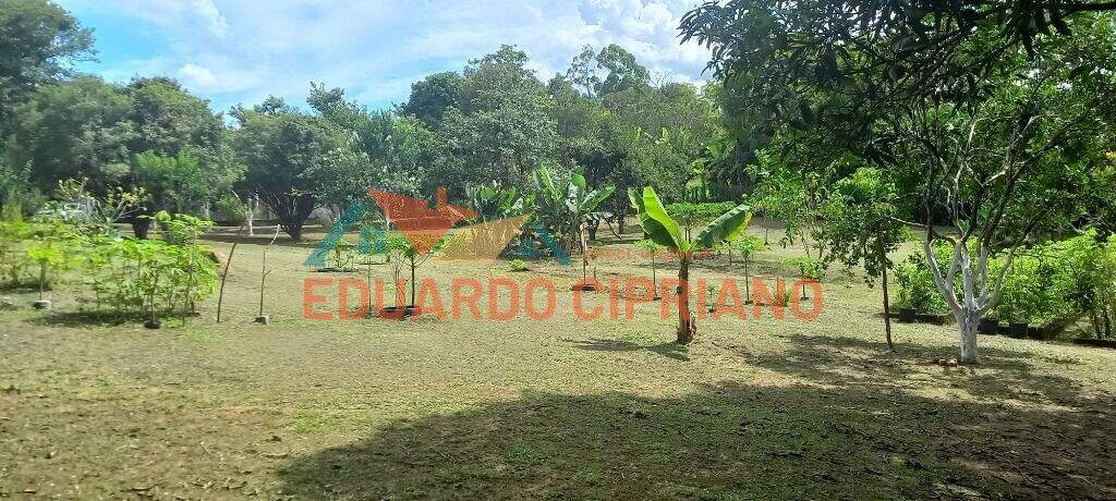 Chácara à venda no Zona Rural: 