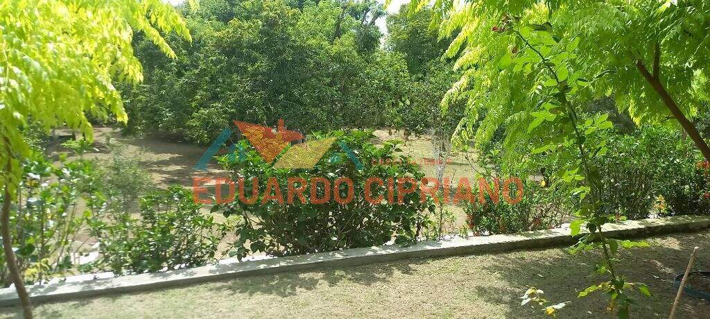 Chácara à venda no Zona Rural: 