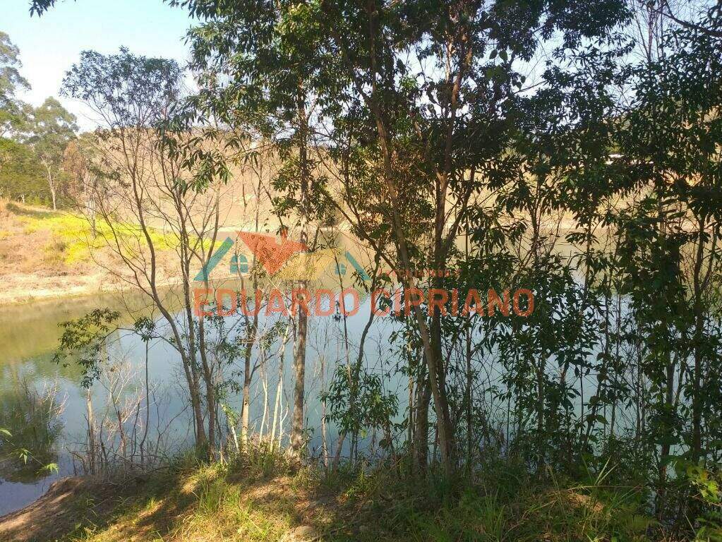 Sítio à venda no Monte Alegre: 