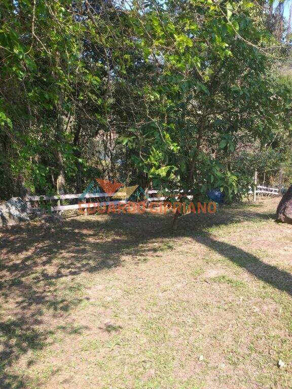 Sítio à venda no Monte Alegre: 