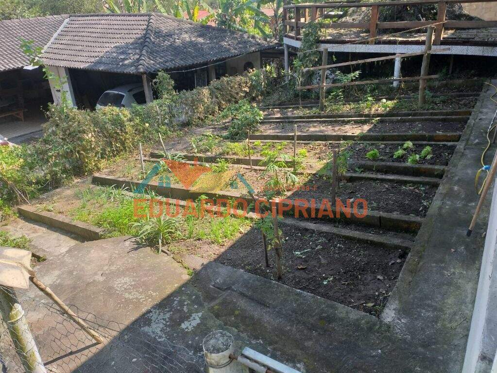 Sítio à venda no Monte Alegre: 