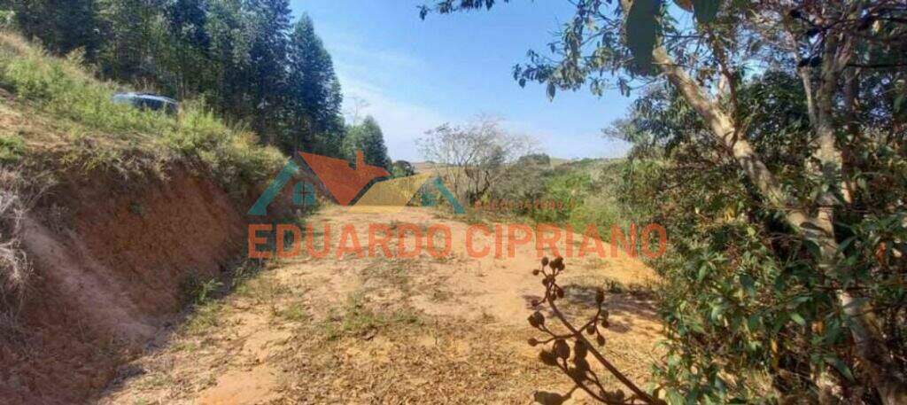 Terreno à venda no Zona Rural: 