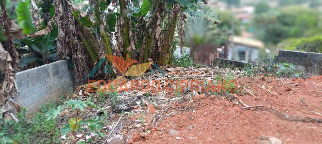 Terreno à venda no Vila São Germano: 