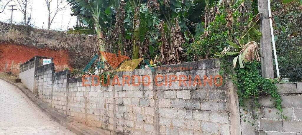 Terreno à venda no Vila São Germano: 