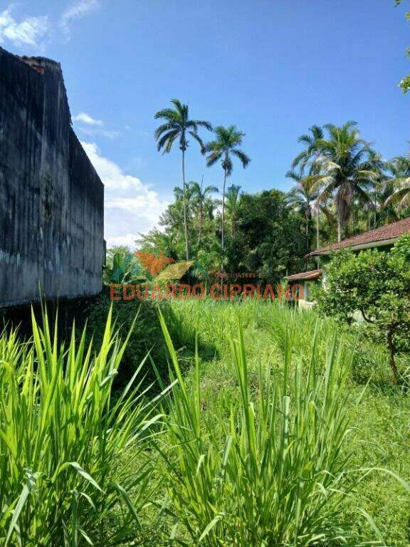 Terreno à venda no Getuba: 