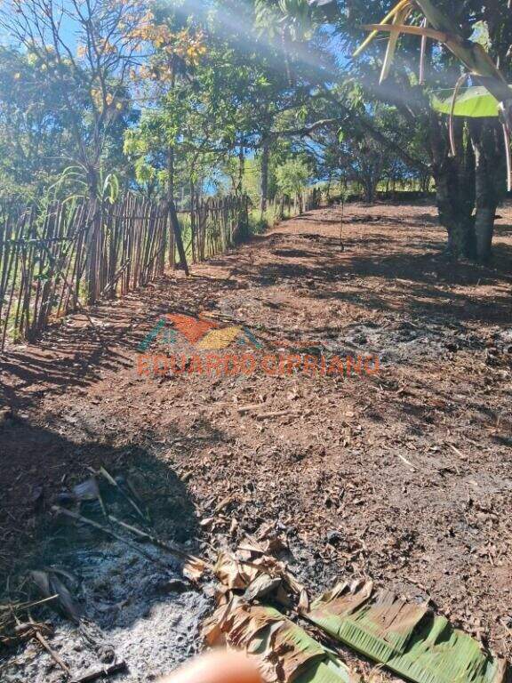 Terreno à venda no Vila São Germano: 