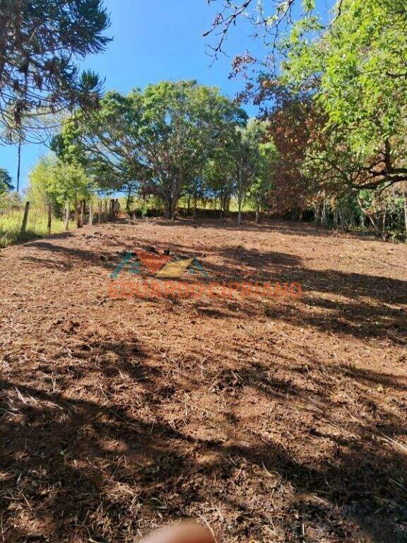 Terreno à venda no Vila São Germano: 