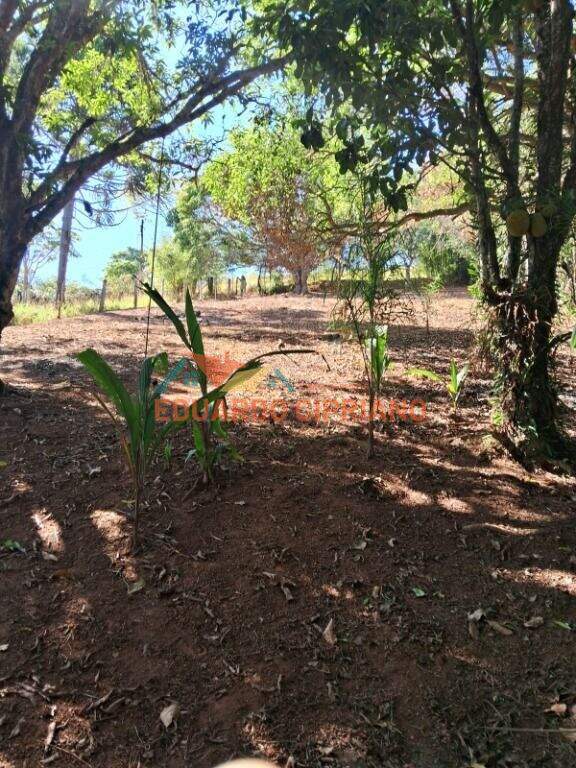 Terreno à venda no Vila São Germano: 