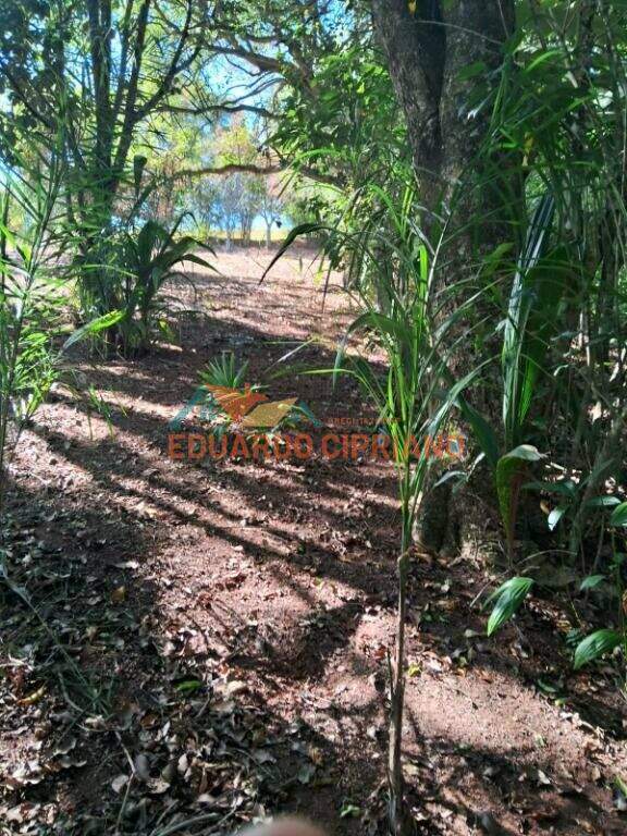 Terreno à venda no Vila São Germano: 
