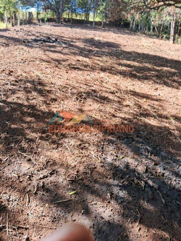 Terreno à venda no Vila São Germano: 