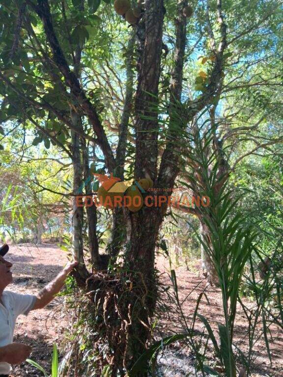 Terreno à venda no Vila São Germano: 