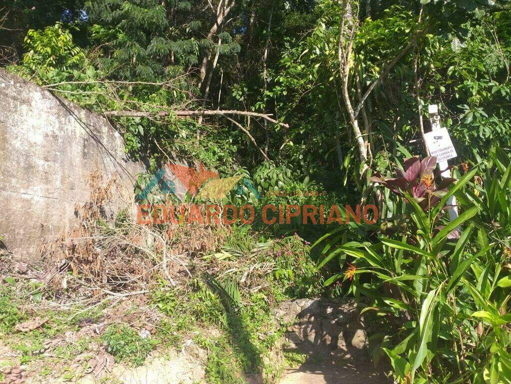 Terreno à venda no Martim de Sá: 