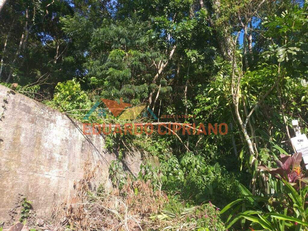 Terreno à venda no Martim de Sá: 