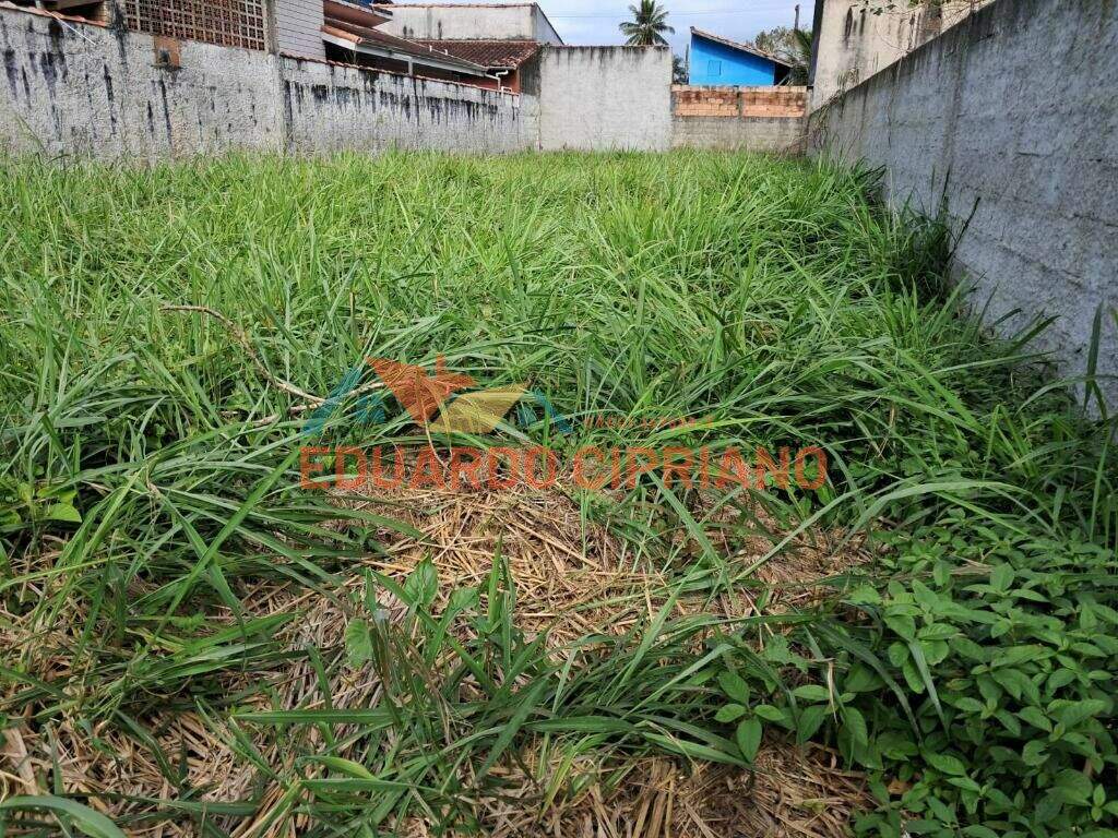 Terreno à venda no Massaguaçu: 