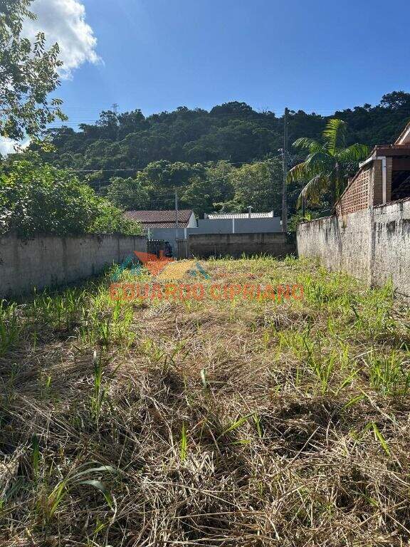 Terreno à venda no Massaguaçu: 