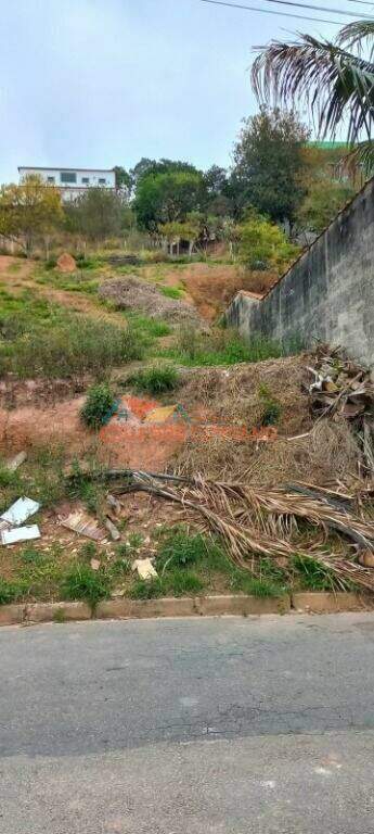 Terreno à venda no Bela Vista: 