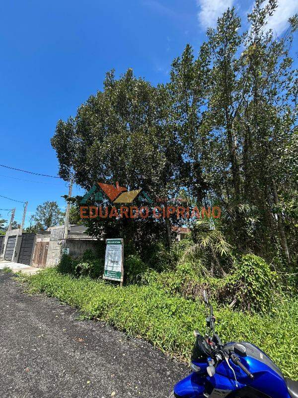 Terreno à venda no Pontal de Santa Marina: 