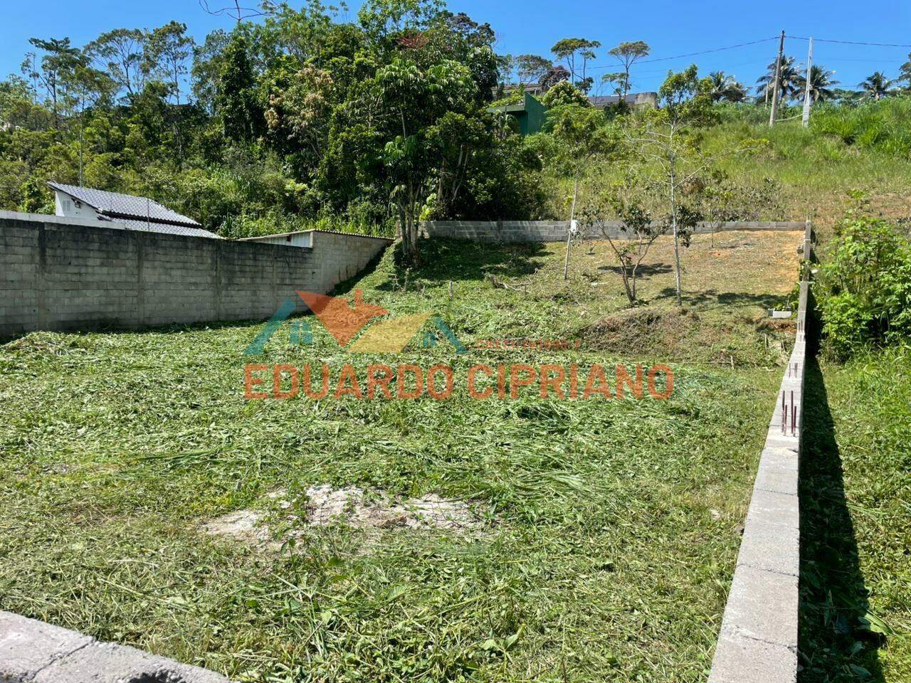Terreno à venda no Massaguaçu: 