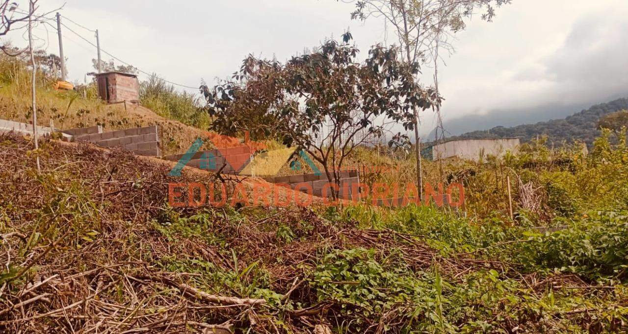 Terreno à venda no Massaguaçu: 