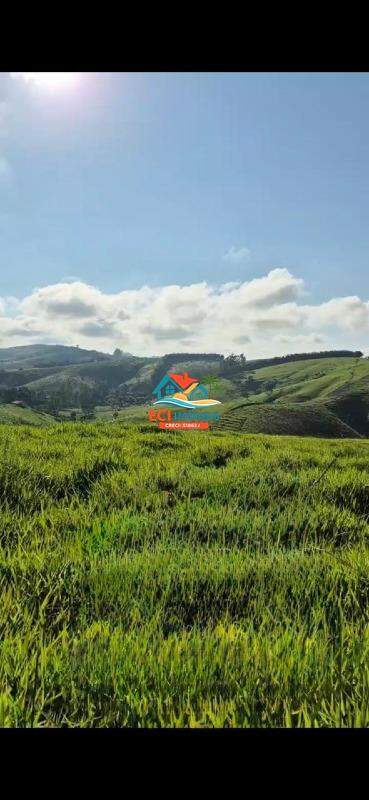 Área à venda no Área Rural de Paraibuna: 