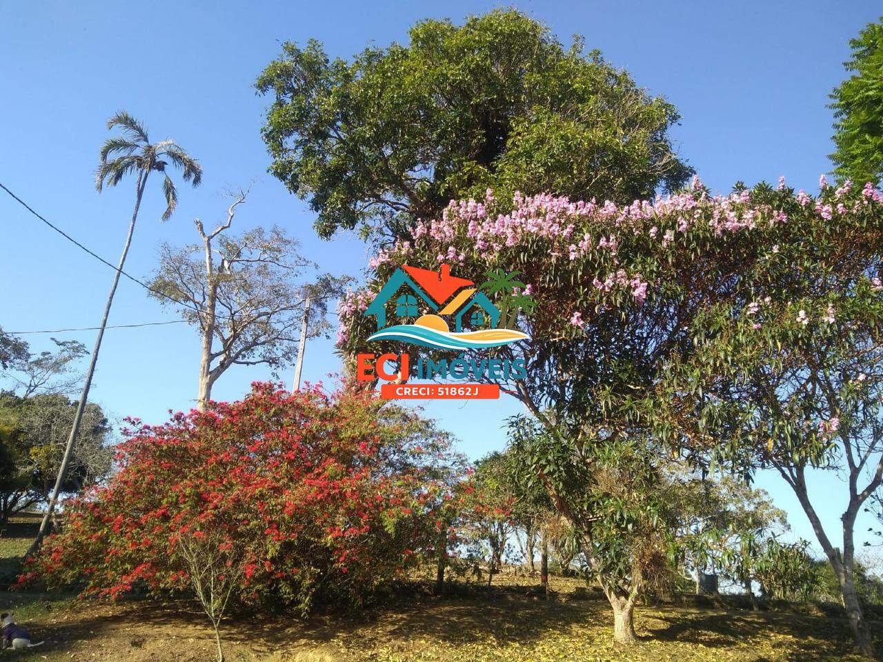 Chácara à venda no Paraibuna: 