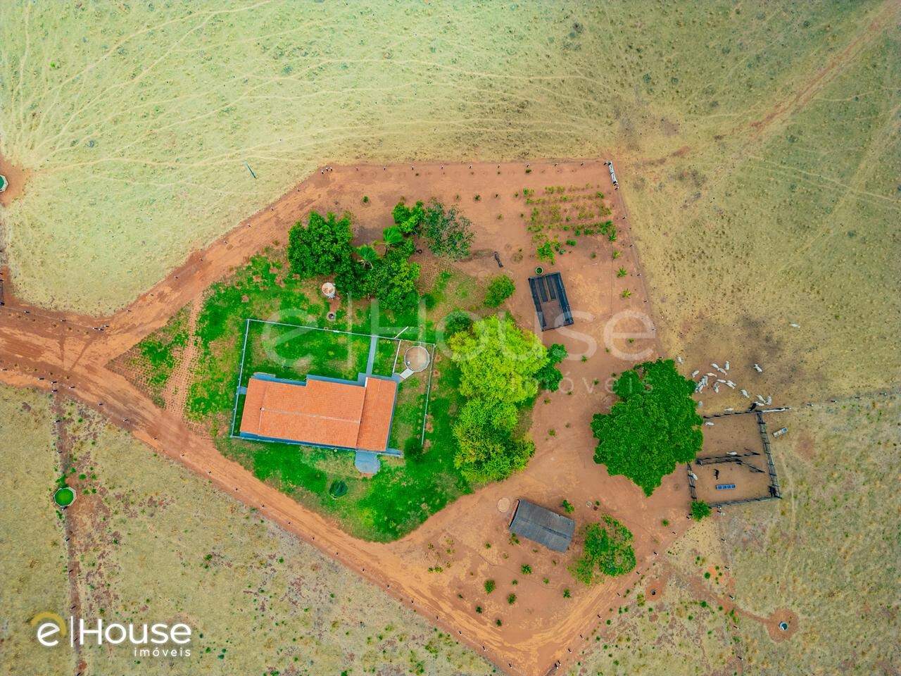 Chácara à venda no Gleba rio vermelho: 