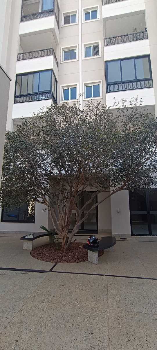 Apartamento para aluguel no Jardim Residencial Sunflower: 